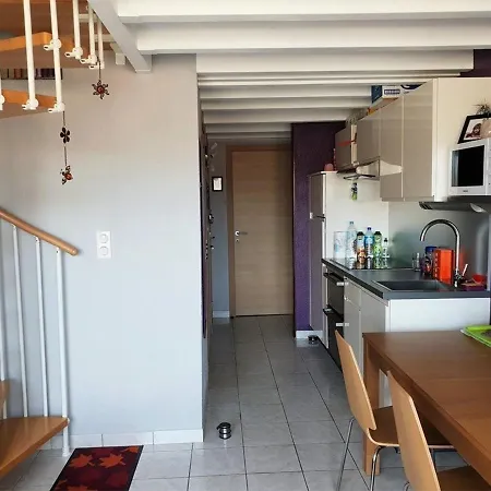 아파트 T3 Avec Mezzanine, Piscine, Parking Prive - 300m De La - - Fr-1-388-158 아르젤레쉬르메르